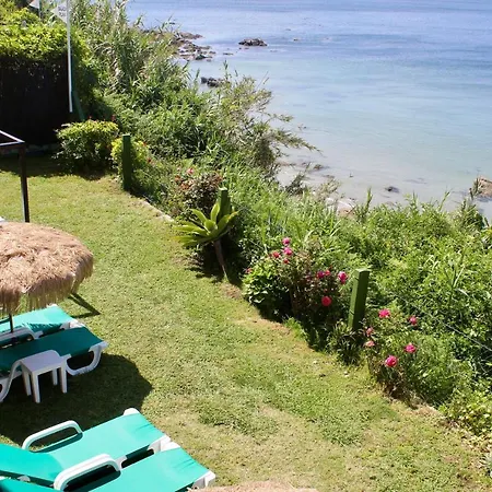 Gasthuis Casa Aurita Adults Only