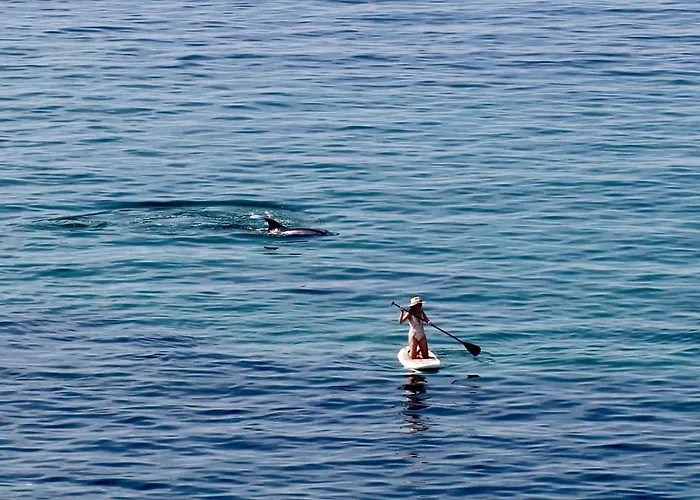 Gasthuis Casa Aurita Adults Only