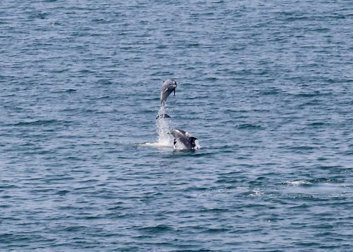 Casa Aurita Adults Only Maison d'hôtes 4*