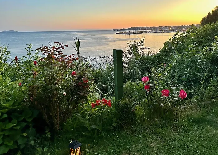 Casa Aurita Adults Only